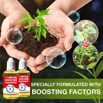 🔥Hot Sale Promotion 49% OFF - Plant Growth Enhancer