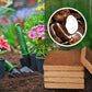 🎁Buy 3 Get 2 Free 🌱Organic Coconut Coir for Plants