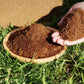 🎁Buy 3 Get 2 Free 🌱Organic Coconut Coir for Plants