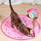 🔥Free Shipping🔥2 in 1 simulated interactive hunting toy for cats