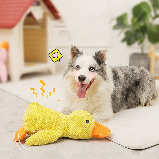 🔥Buy 2 Free Shipping✈️ Durable Plush Chew Toy with Sounds for dogs